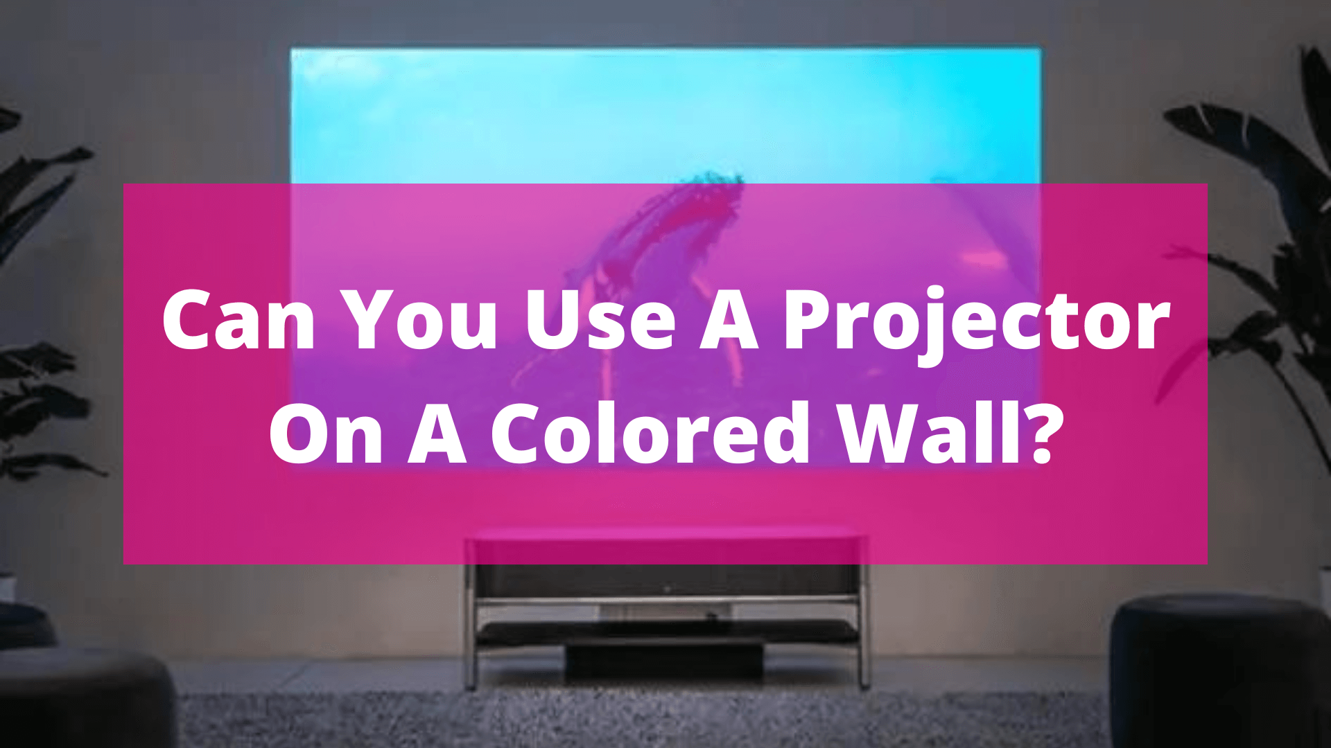 use a projector on a colored wall